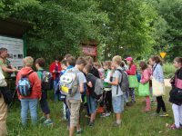 images/Galeria/brzeszcze/DSC01176