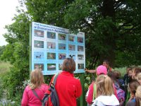 images/Galeria/brzeszcze/DSC01179