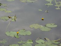 images/Galeria/brzeszcze/DSC01181