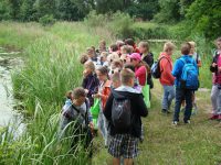 images/Galeria/brzeszcze/DSC01183