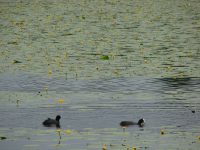 images/Galeria/brzeszcze/DSC01189