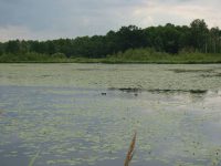 images/Galeria/brzeszcze/DSC01190