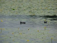 images/Galeria/brzeszcze/DSC01191