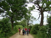 images/Galeria/brzeszcze/DSC01192