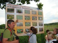 images/Galeria/brzeszcze/DSC01193