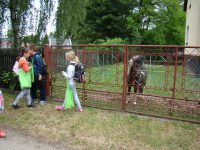 images/Galeria/brzeszcze/DSC01197