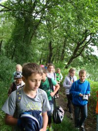 images/Galeria/brzeszcze/DSC01198