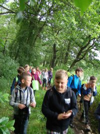 images/Galeria/brzeszcze/DSC01199