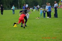 images/Galeria/festyn2015/DSC_0328