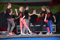 images/Galeria/festyn2015/DSC_0521