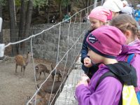 images/Galeria/ustroniwonka/SAM_8786