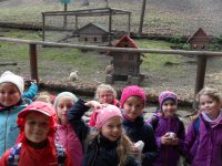 images/Galeria/ustroniwonka/SAM_8790