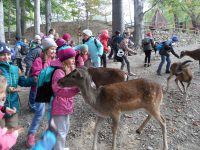 images/Galeria/ustroniwonka/SAM_8795