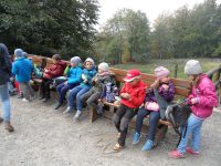 images/Galeria/ustroniwonka/SAM_8801