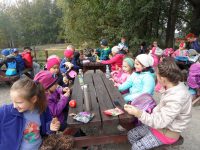 images/Galeria/ustroniwonka/SAM_8802