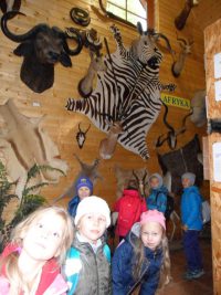 images/Galeria/ustroniwonka/SAM_8803