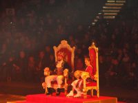 images/Galeria/kopciuszek/DSC00047