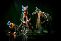 ksiaumlga daringfrac14ungli-foto d dudziak-4