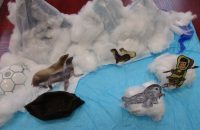 images/Galeria/anaruk/IMG_1235