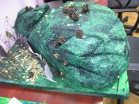 images/Galeria/hobbit/IMG_2271