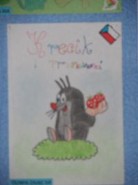 images/Galeria/tjokonkurs/SAM_0789