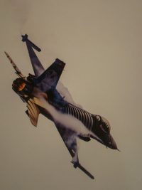 images/Galeria/grabskiwystawa/DSC01925