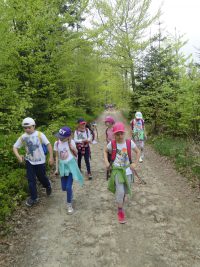 images/Galeria/magurka17/DSC01858