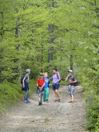 images/Galeria/magurka17/DSC01859