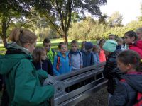 images/Galeria/krakow5_6_2018/SAM_6290