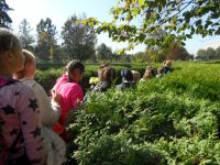 images/Galeria/krakow5_6_2018/SAM_6318