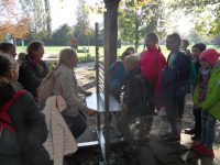 images/Galeria/krakow5_6_2018/SAM_6328