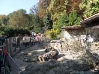 images/Galeria/krakow5_6_2018/SAM_6339