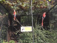 images/Galeria/krakow5_6_2018/SAM_6340