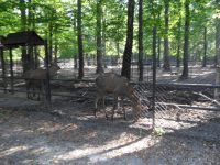 images/Galeria/krakow5_6_2018/SAM_6341