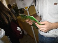 images/Galeria/dzienkobiet19/IMG_5950