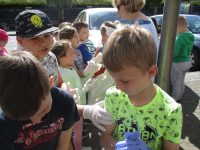 images/Galeria/sprzataniesoly19/IMG_6006