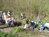 images/Galeria/sprzataniesoly19/IMG_6018